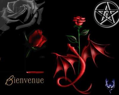 Slt